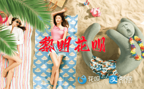 副部长花呗